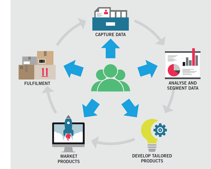 development cycle